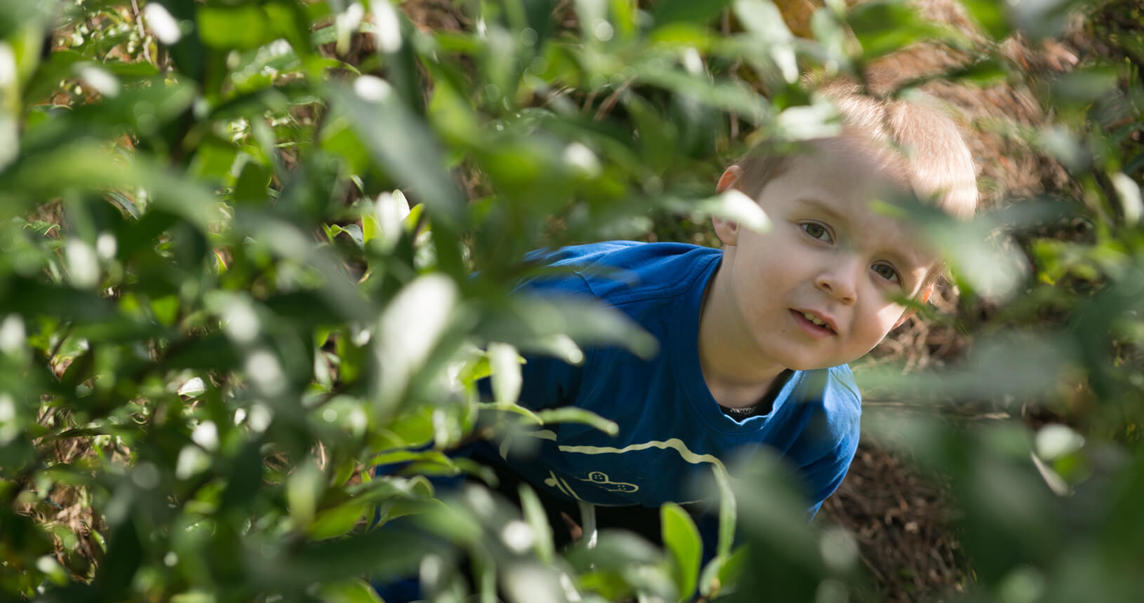watch me grow early learning centre watch me grow early learning centre